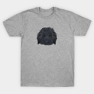 Black Labradoodle T-Shirt